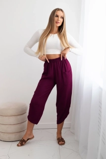 Nohavice s vreckami - slivka